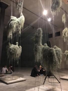 17353324_10155058058129178_4607847230994746631_n